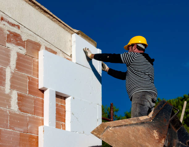 Best Geographic-Specific Insulation Services in Silver Hill, MD