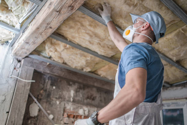 Best Commercial Insulation in Silver Hill, MD